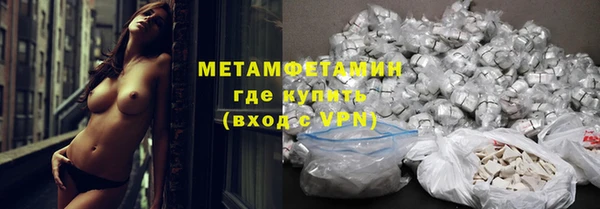 шишки Корсаков