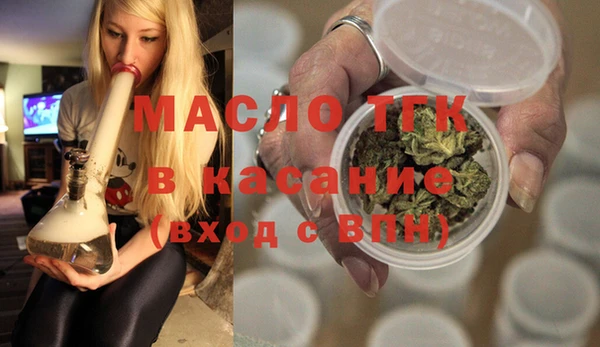 шишки Корсаков