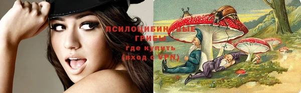 шишки Корсаков