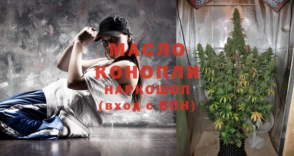 шишки Корсаков