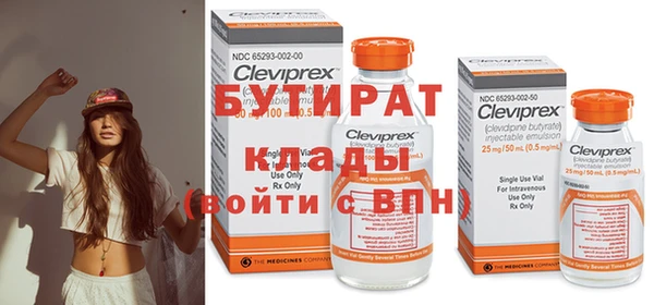 шишки Корсаков