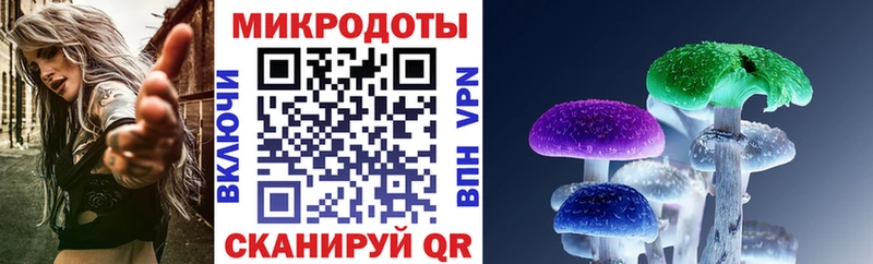 Псилоцибиновые грибы Psilocybe  Купить где  Верхнеуральск 